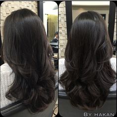 Long Dark Hair, Haircuts For Medium Hair, Haircuts Straight Hair, Hair Inspo Color