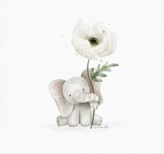 an elephant holding a white flower in it's trunk and standing next to another one