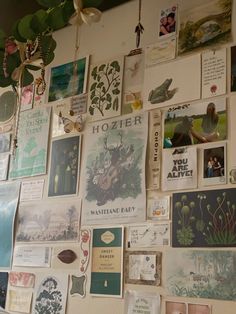 the wall is covered with many different pictures and plants hanging from it's sides