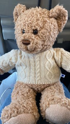 a teddy bear wearing a sweater and jeans in the back seat of a car,