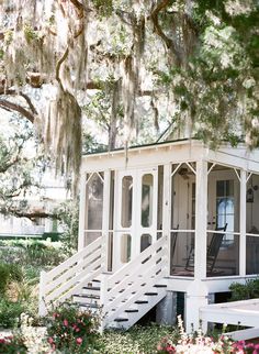 a white house sitting under a tree covered in spanish moss with stairs leading up to it