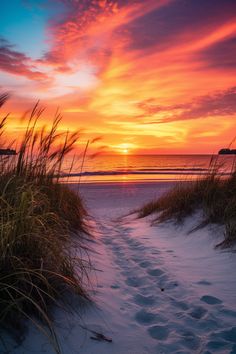 the sun is setting at the beach with grass in the foreground and sand on the ground