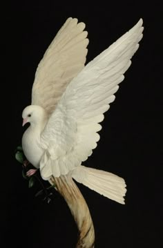 a white bird with its wings spread out on a branch