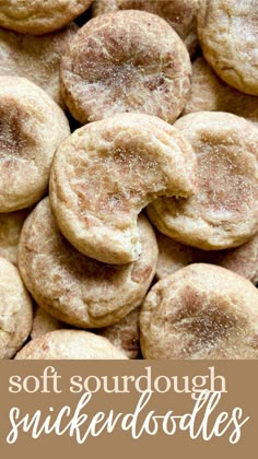 Sourdough snickerdoodle cookie with a bite taken out of it. Easy Sourdough Bread Recipe, Sourdough Starter Recipe, Snickerdoodle Cookies