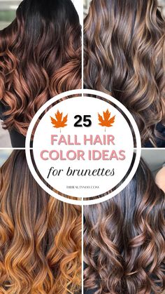 25 Fall Hair Color Ideas for Brunettes: Seasonal Shades to Transform Your Look Fall Color Brunette Hair, Fall Brunette Hair Color With Highlights, Fall Hair Ombre Brunettes, Fall Womens Hair Color, Fall Hair Tones For Brunettes, Fall Hair Brunette 2024, Fall Hair Curly Color, Curly Hair Colors For Fall, Best Hair Color Ideas For Brunettes