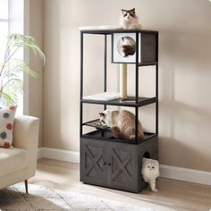 two cats sitting on top of a shelf in a living room