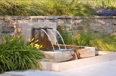 a water fountain surrounded by plants and flowers