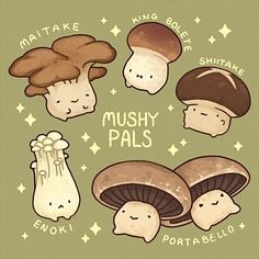 various mushrooms with different names on them