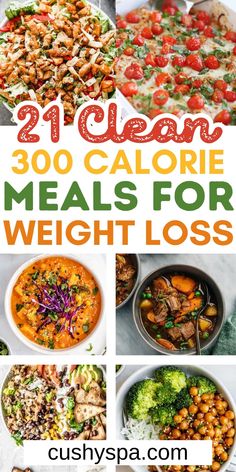 If you are tracking your calories to help with your weight loss goals you must try these quick 300 calorie meals. Make these incredible low calorie recipes and enjoy having more delicious and healthy foods for your weight loss meal plan. These healthy meals are delicious. rn Dinners Under 500 Calories, 300 Calorie Meals, 500 Calorie Meals, Mediterranean Diet Meal Plan, Calorie Meals, Cheap Healthy, Calorie Meal Plan, 300 Calories, Mediterranean Diet Recipes