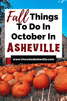 pumpkin patch in Asheville Fall Hikes, Apple Orchards