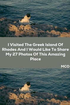 two birds sitting on top of rocks in the ocean with text overlaying them that says, i visited the greek island of rhodes and i would like to share my 2 photos of this amazing place