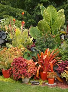 a garden filled with lots of different types of flowers and plants next to each other