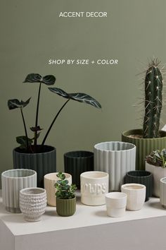 several pots with plants in them sitting on a shelf next to each other and the words accent decor shop by size + color