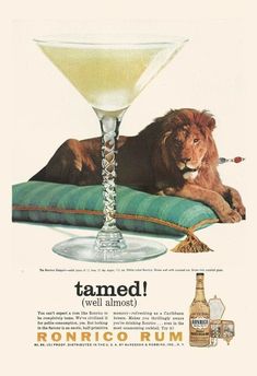 Lion Poster, Retro Cocktail, Bar Poster, Vintage Poster Design, Poster Ads, Retro Ads, Old Ads, Vintage Advertisement, Art Collage Wall