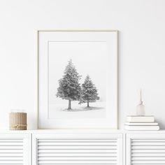 a black and white photo of two trees on top of a shelf next to books