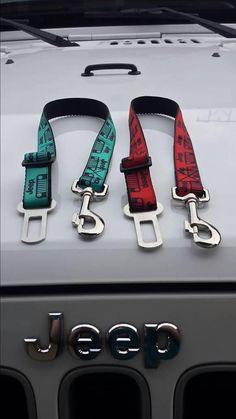 three different colored leashes on the back of a jeep