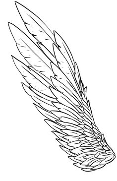 an eagle's wing is drawn in black and white