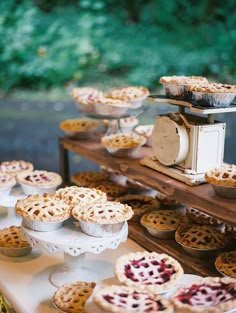 pies and pie cups on a table with trees in the backgrouf