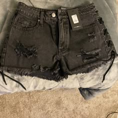 Brand New, Never Worn Shorts, Fashion Nova Size 5 Crust Shorts, Female Percy Jackson, Closet Outfits Ideas, High School Style, Goth Shorts, Grunge Shorts, Star Aesthetic, Fashion Nova Shorts, Summer Grunge