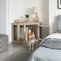 a dog is standing in the middle of a room with a bed and nightstands