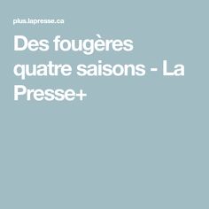 the words des fougres quate saisons - la presse +