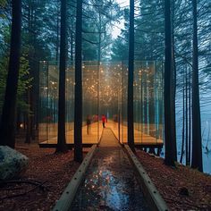 a person standing on a wooden walkway in the middle of a forest with trees and lights