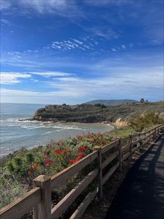 a wooden fence next to the ocean with red flowers growing on it's sides