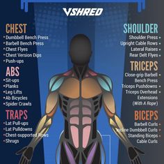 the muscles and their functions are labeled in this graphic diagram, which shows how they work