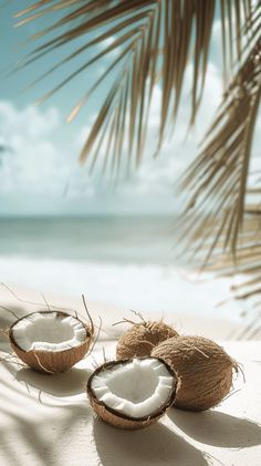 three coconuts are on the beach with water in the background and palm tree leaves