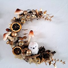 an animal is sitting in the middle of a wreath made out of mushrooms, oranges and pine cones