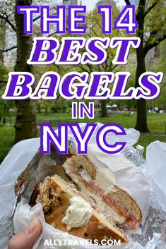 Financial District Nyc, Ny Bagel, Nyc Bucket List, Nyc Spring, New York Bagel, Nyc Travel Guide