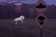 an alien sign and a white horse in a field