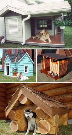 there are pictures of different houses made out of wood and dogs in the dog house