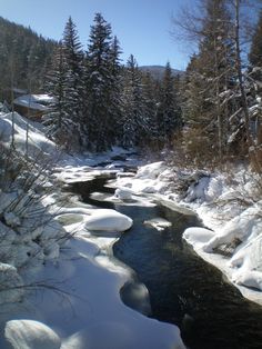 a river running through a snow covered forest