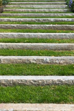 an orange fire hydrant sitting in the middle of some concrete steps with grass growing between them