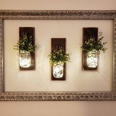 three mason jars with plants in them are hung on the wall