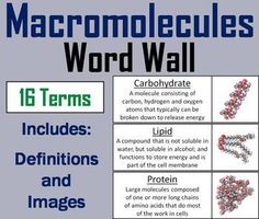 the atomic structure word wall includes protons, protons and other things to describe