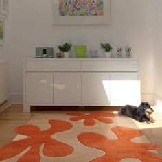 a dog is laying on the floor in front of a white cabinet with orange accents