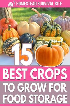 a bunch of pumpkins and gourds with the title 15 best crops to grow for food storage