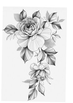 a black and white drawing of flowers with leaves on the bottom half of each flower