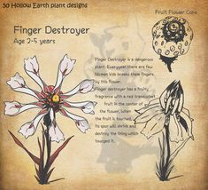 an old paper with flowers and other things on it's side, including the words finger detoroer