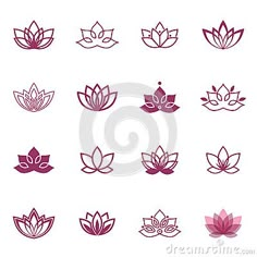 lotus flower icon set on white background