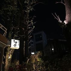 a street sign is lit up at night in front of some trees and bushes with lights on them