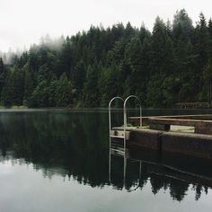 a body of water with trees in the background and a dock on one side that is empty