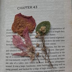 an open book with dried flowers on it