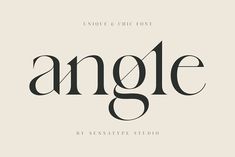 an old fashioned font with the word'angle'written in black on a white background