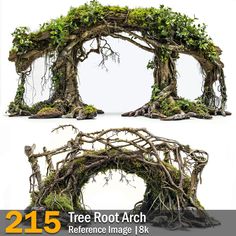 some kind of tree root arch with moss growing on it