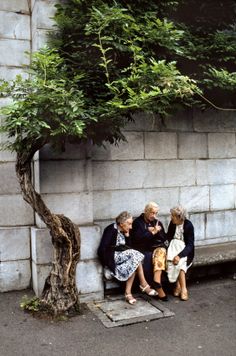 three people sitting on a bench next to a tree