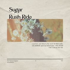 the front page of sugar rush ride, with an image of daisies in a vase