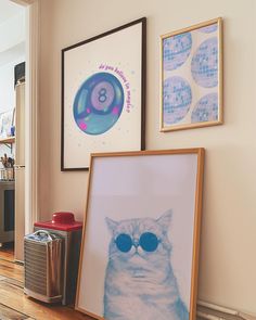 a cat wearing sunglasses sitting in front of pictures on the wall